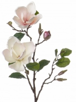 Magnolia tak x2 bloem, 6knp 72cm wit-roze